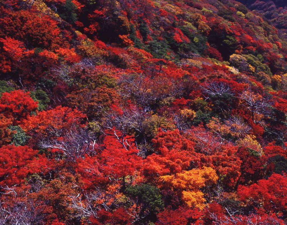 Yumoto Hotel Unzen Extérieur photo